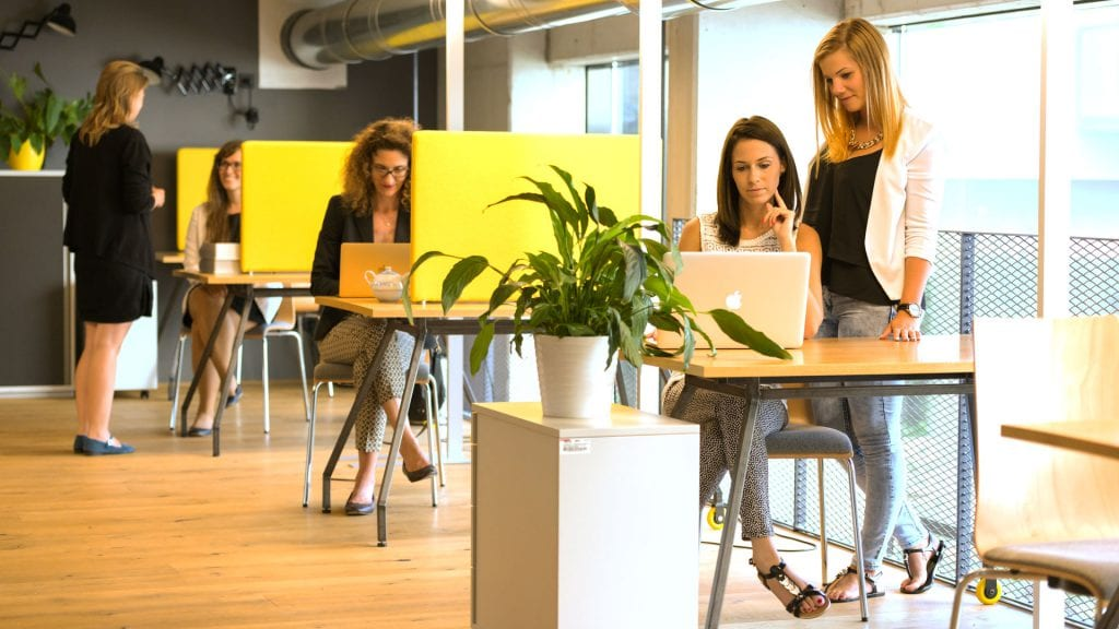 Der Coworking Bereich im Hotel Schani. Foto: Hotel Schani / Arnold Pöschl