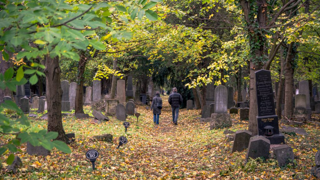 Vor allem im Herbst und im Frühling sieht der Zentralfriedhof prächtig aus. Foto: Harry Pammer