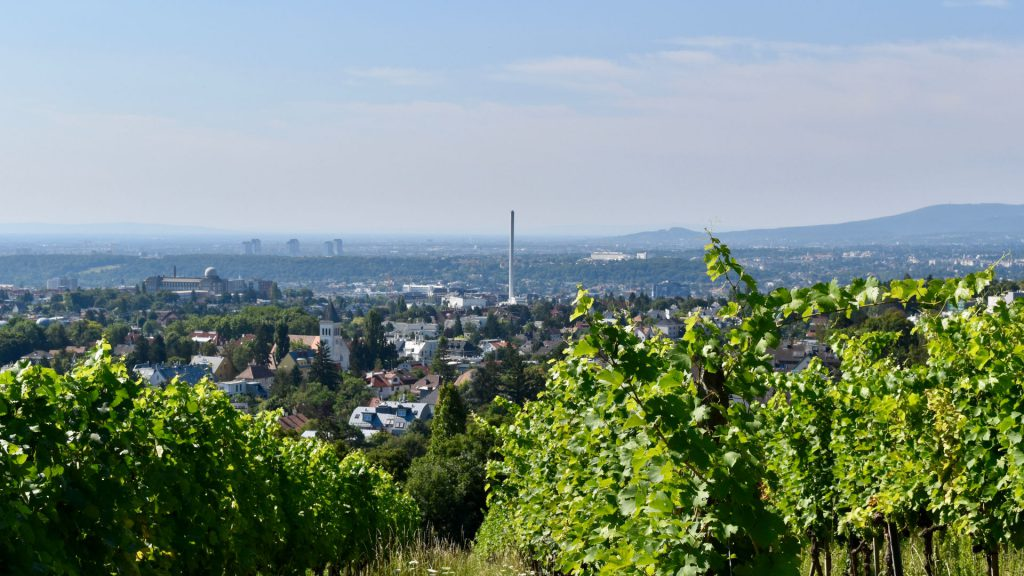 Der Ausblick von Wien vom Wilhelminenberg aus. Foto: ChristianeWien / Flickr