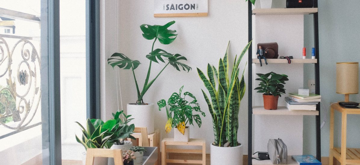 Foto: Huy Phan / Unsplash