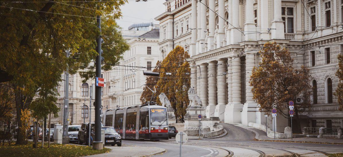 Foto: Ahmad Tolba / Unsplash