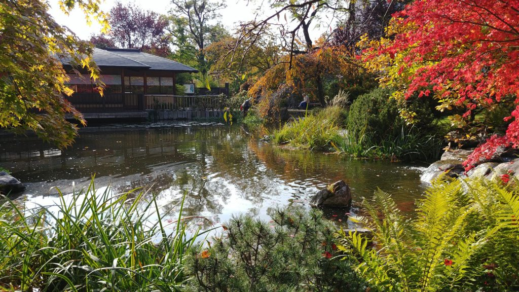 Im See schwimmen sogar ein paar Schildkröten.