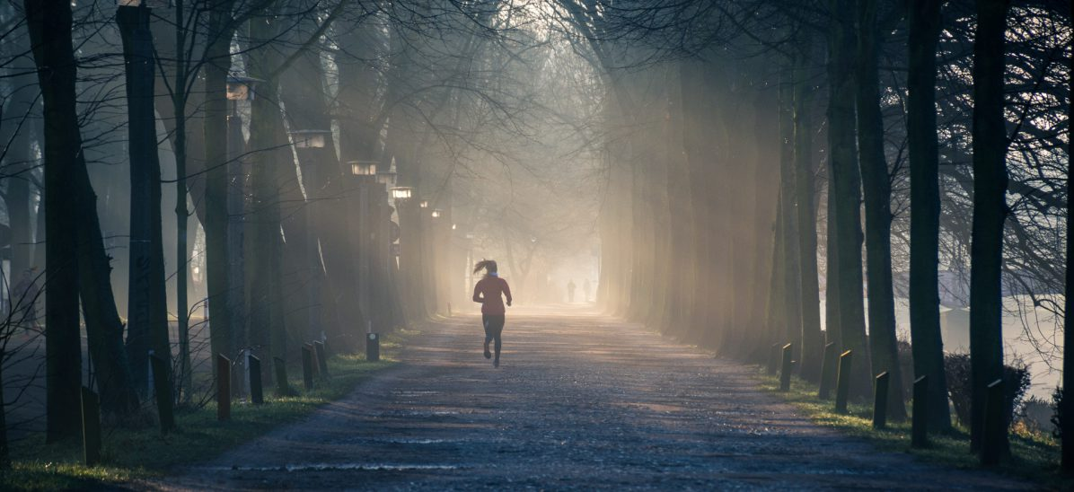 Foto: Philip Ackermann / Pexels